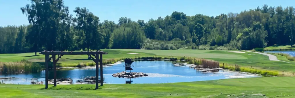 Lush green fairway and trees at Minnesota National Golf Course under a bright blue summer sky`