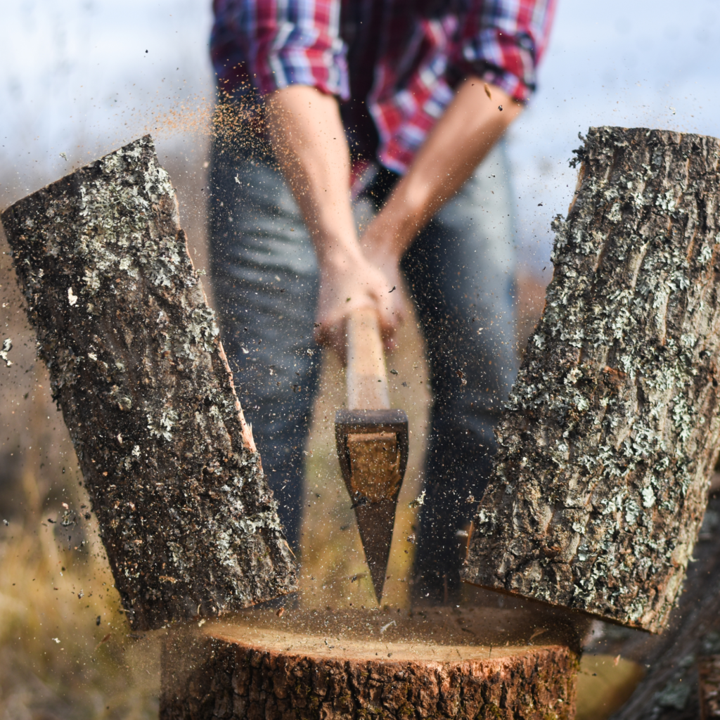 Tall Timber Days Tall Timber Days 1024x1024